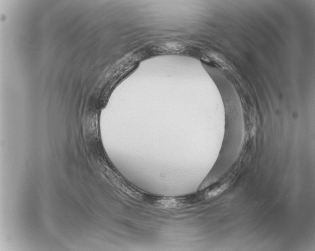 X0000052600425200507292128