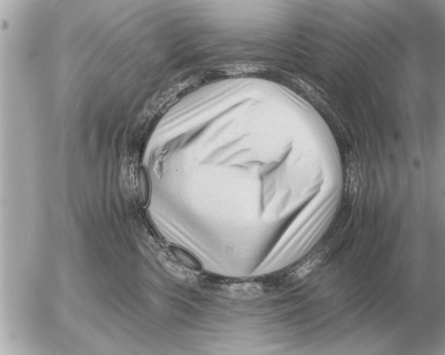 X0000052600426200507292128