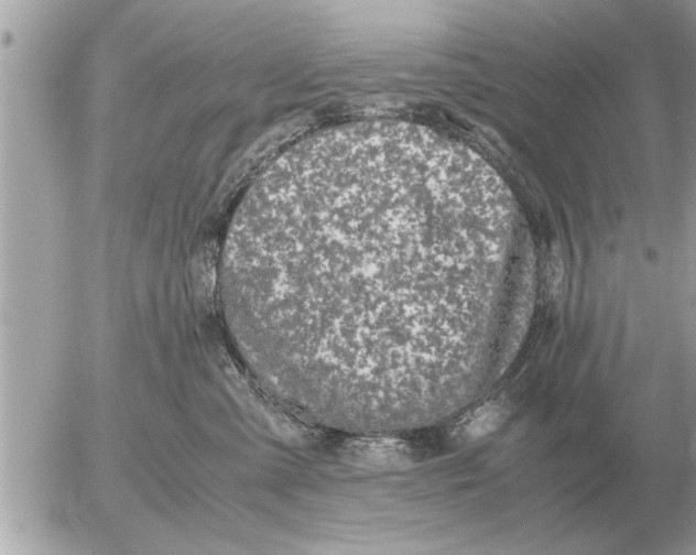 X0000052600427200507292128