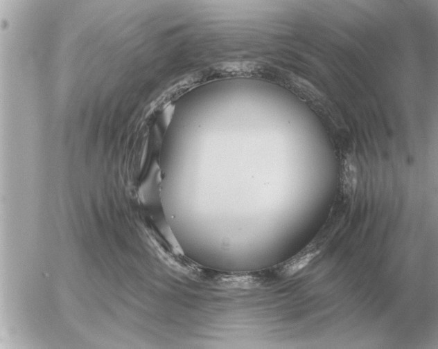 X0000052600428200507292128