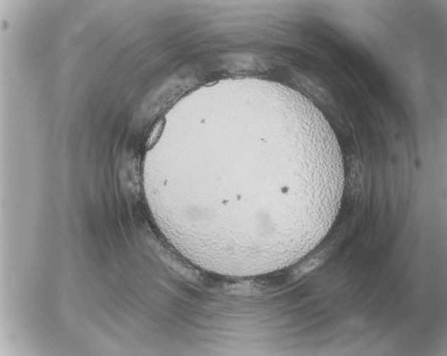 X0000052600430200507292127