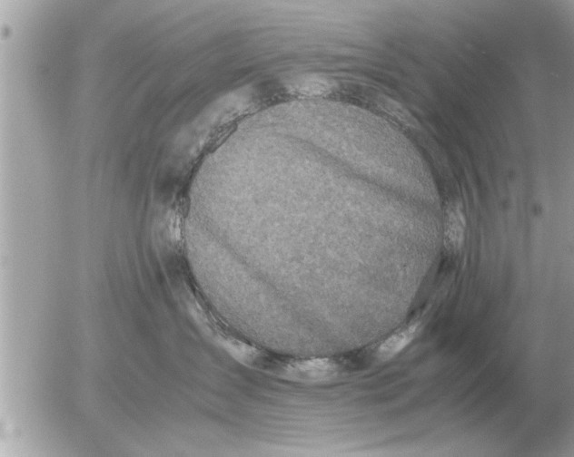 X0000052600431200507292127