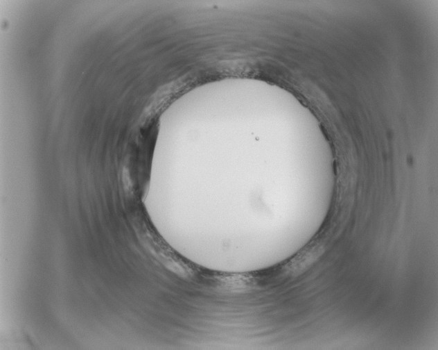 X0000052600432200507292127