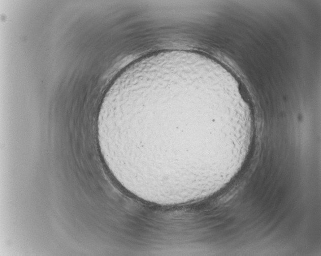 X0000052600433200507292127