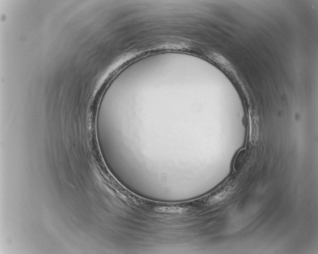 X0000052600435200507292127