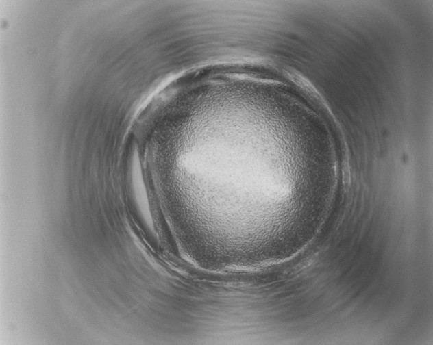 X0000052600436200507292127