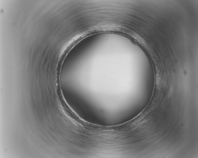 X0000052600438200507292127