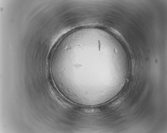 X0000052600439200507292127