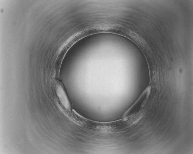 X0000052600440200507292127