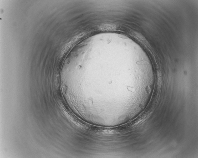 X0000052600441200507292127