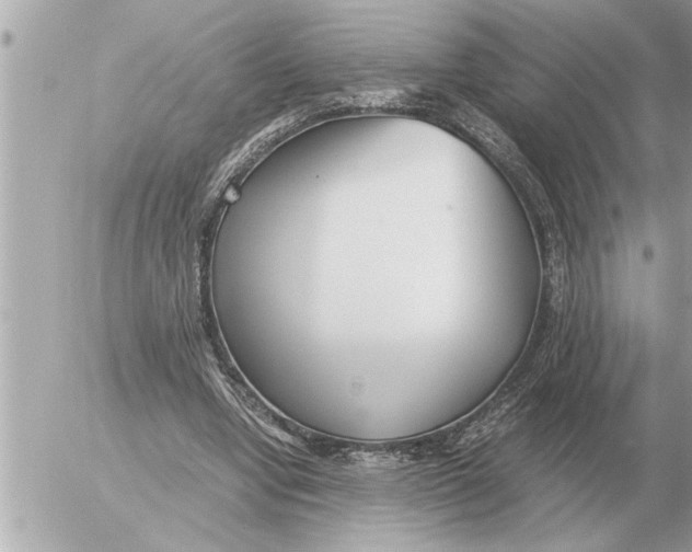 X0000052600442200507292127