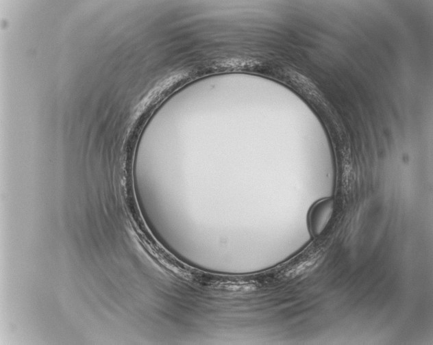 X0000052600443200507292127