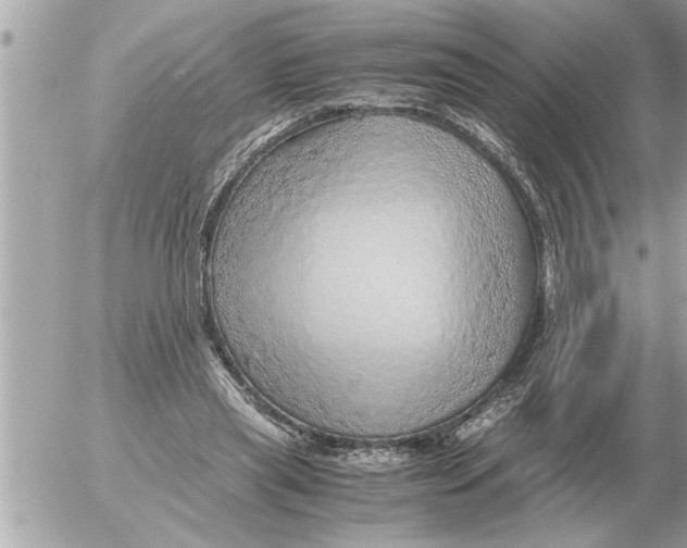 X0000052600445200507292127