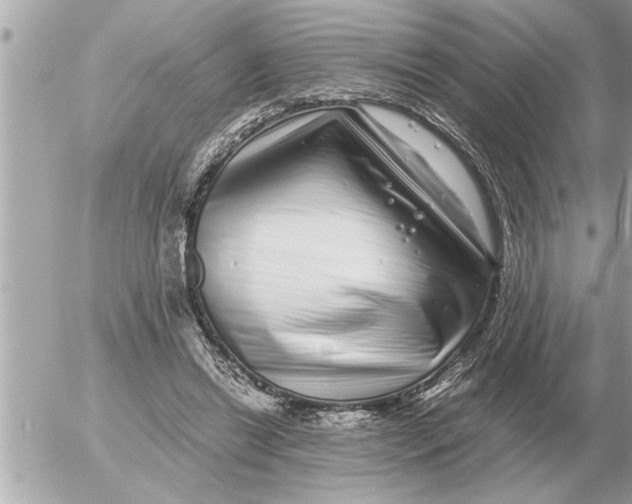 X0000052600446200507292127