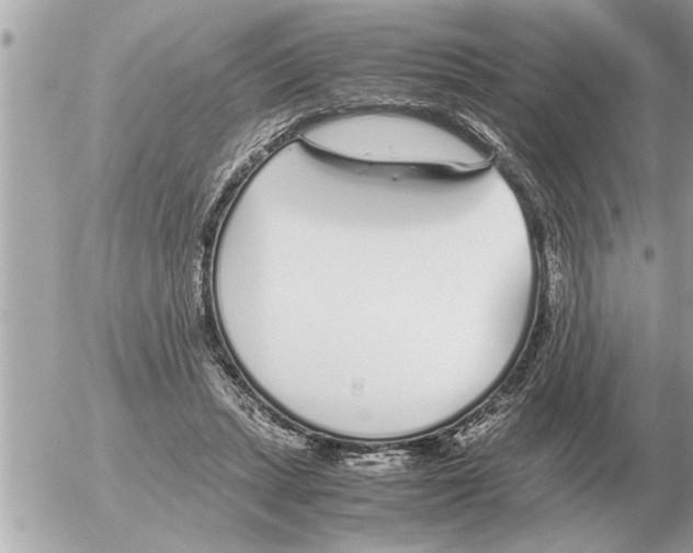 X0000052600447200507292127