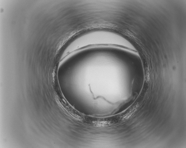 X0000052600448200507292127