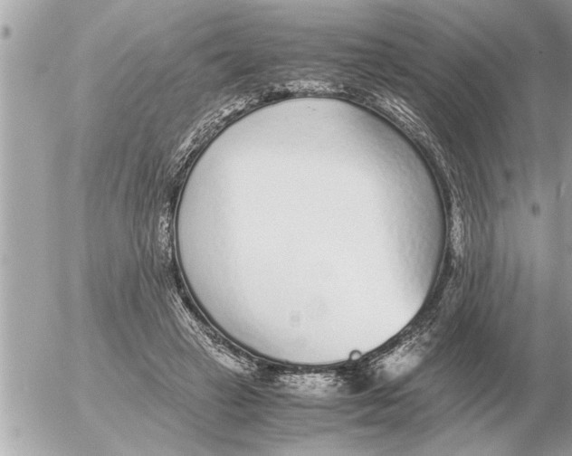 X0000052600449200507292127