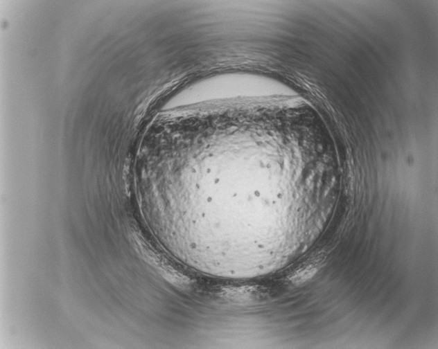 X0000052600450200507292127