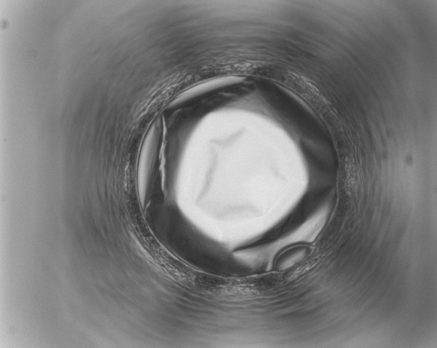 X0000052600451200507292127