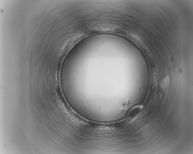 X0000052600453200507292127