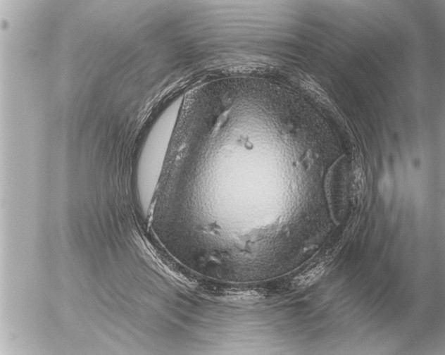 X0000052600454200507292127