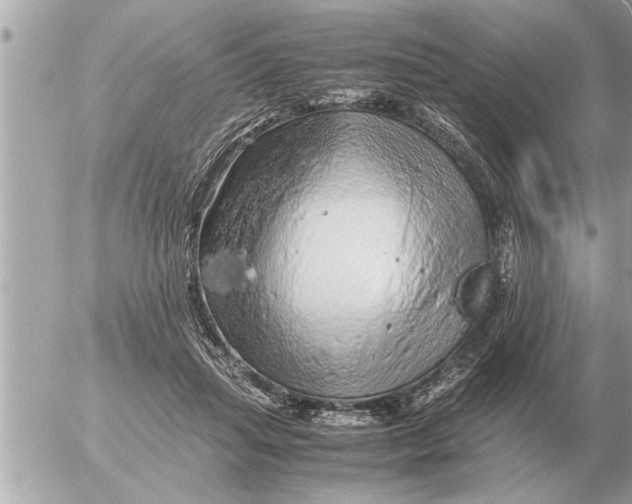 X0000052600455200507292127