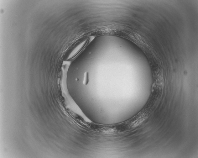 X0000052600456200507292127