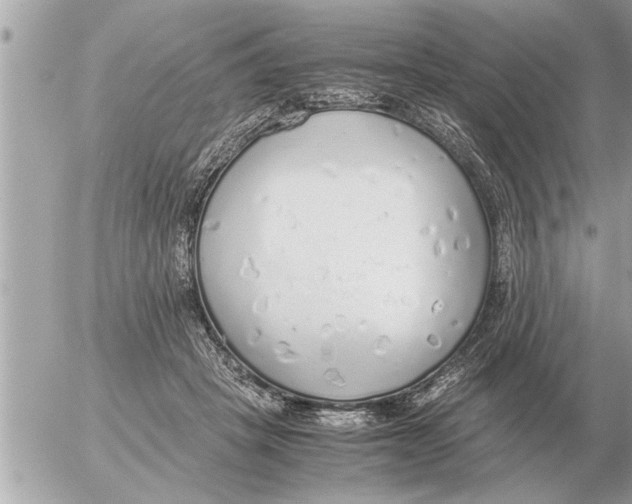 X0000052600457200507292127