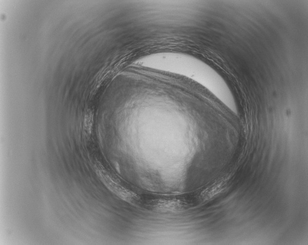 X0000052600458200507292127