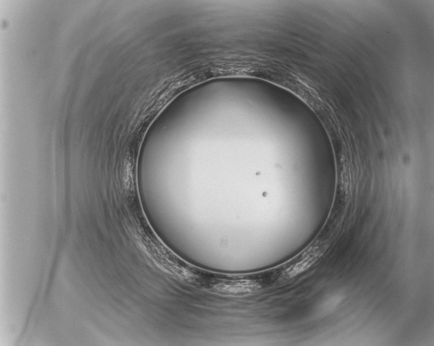 X0000052600459200507292127