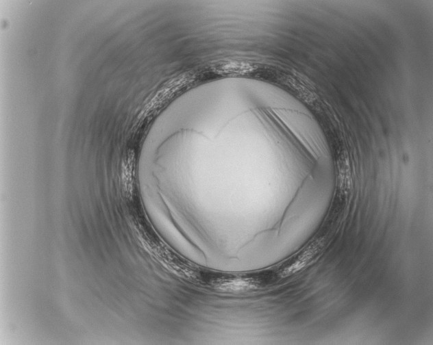 X0000052600460200507292127