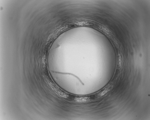 X0000052600461200507292127