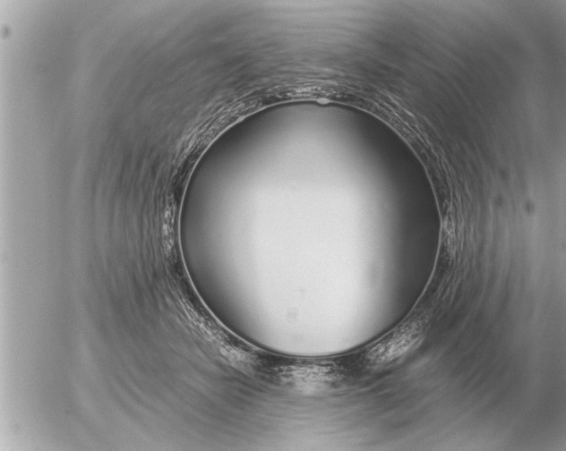 X0000052600462200507292127