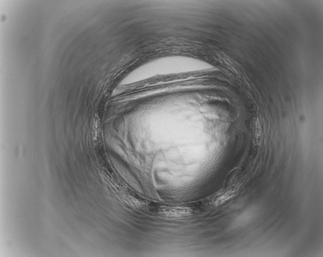 X0000052600463200507292127