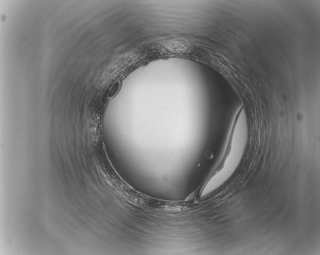 X0000052600464200507292127