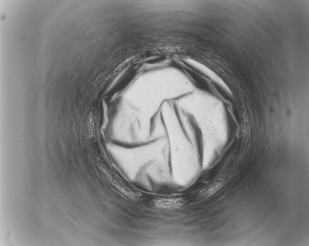 X0000052600465200507292127