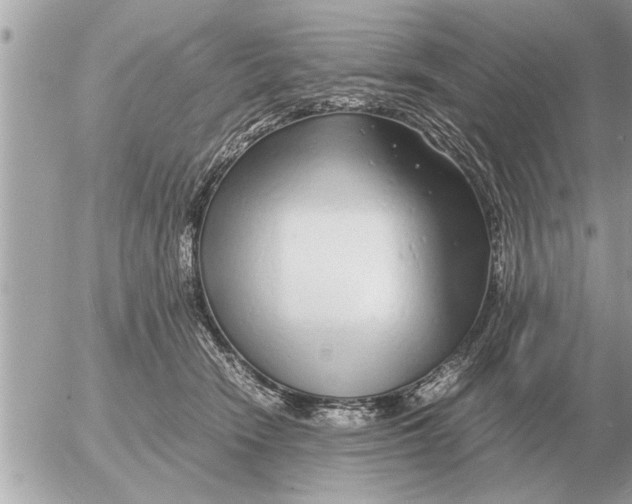 X0000052600466200507292127