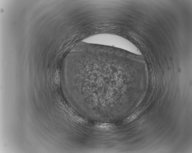 X0000052600467200507292127