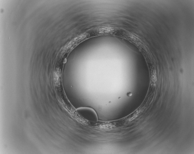 X0000052600468200507292127