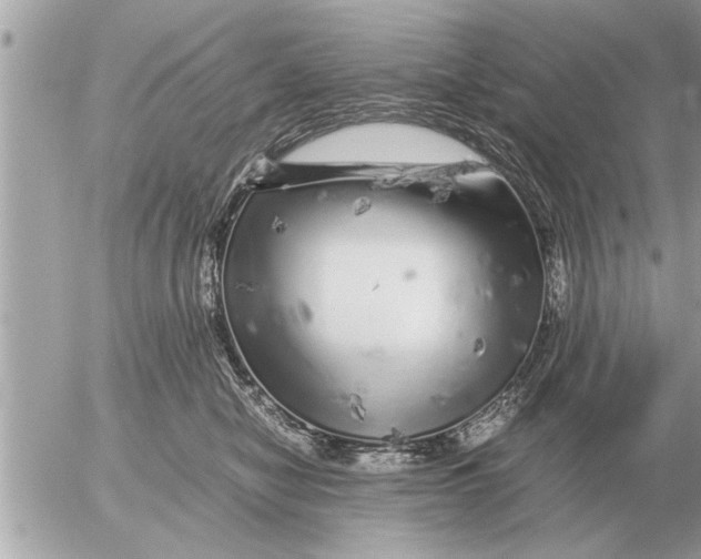 X0000052600470200507292127