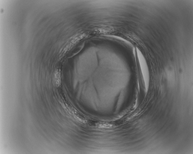 X0000052600471200507292127