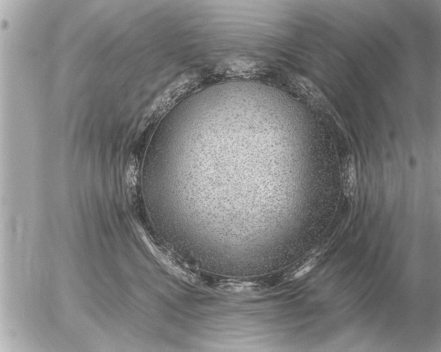 X0000052600472200507292127