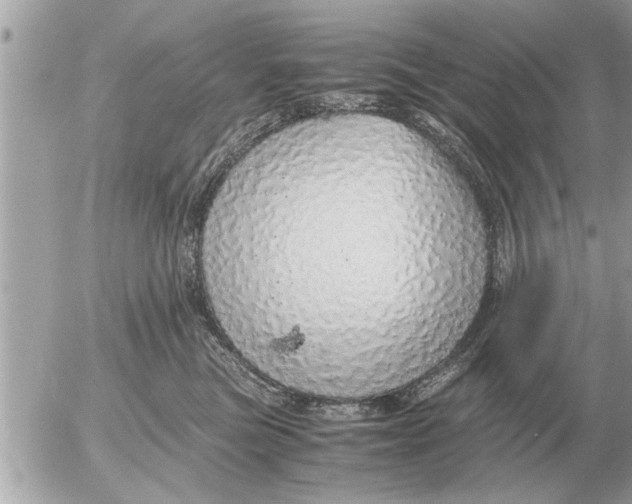 X0000052600473200507292127