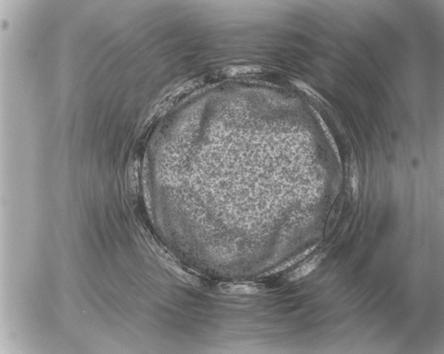 X0000052600475200507292127