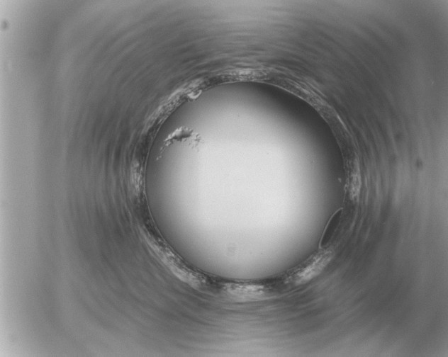 X0000052600476200507292127