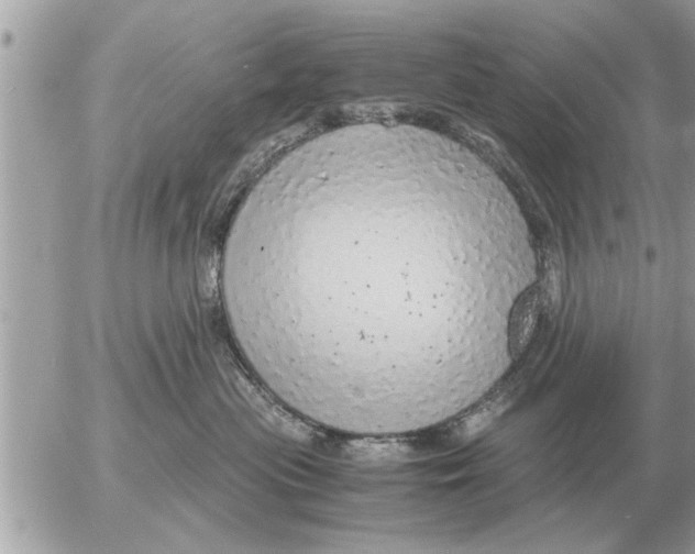 X0000052600477200507292127