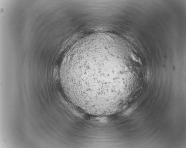 X0000052600478200507292127