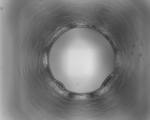 X0000052600479200507292127