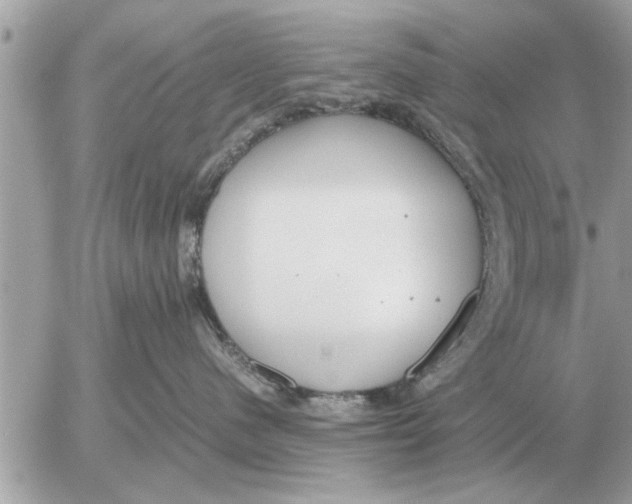 X0000052600480200507292127