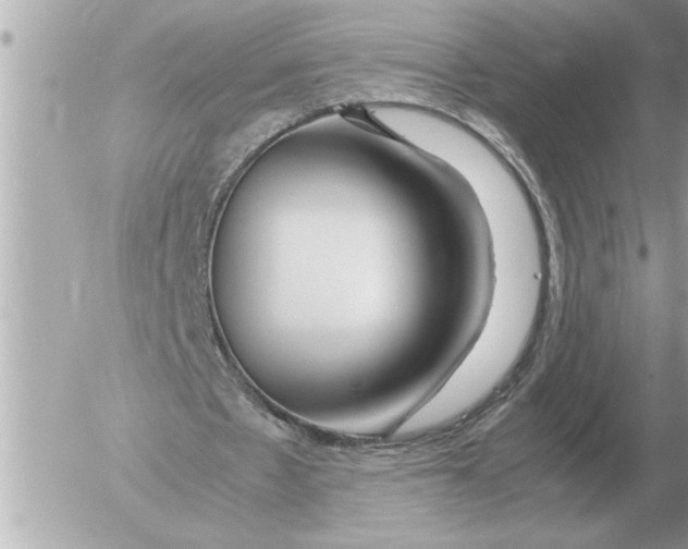 X0000052600481200507292127